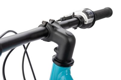 NALOO Chameleon 24", Mk2, 8-Speed, Turquoise Produktbild 4