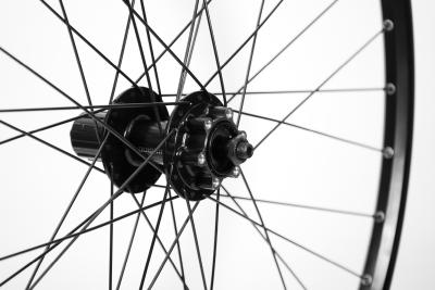 Laufrad hinten 26" 559x19 FHQB400HMBZB 135mm 8-11-Gang 6-Loch QR schwarz  Produktbild 2