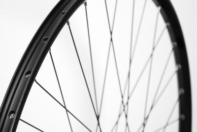 Laufrad hinten 26" 559x19 FHQB400HMBZB 135mm 8-11-Gang 6-Loch QR schwarz  Produktbild 3